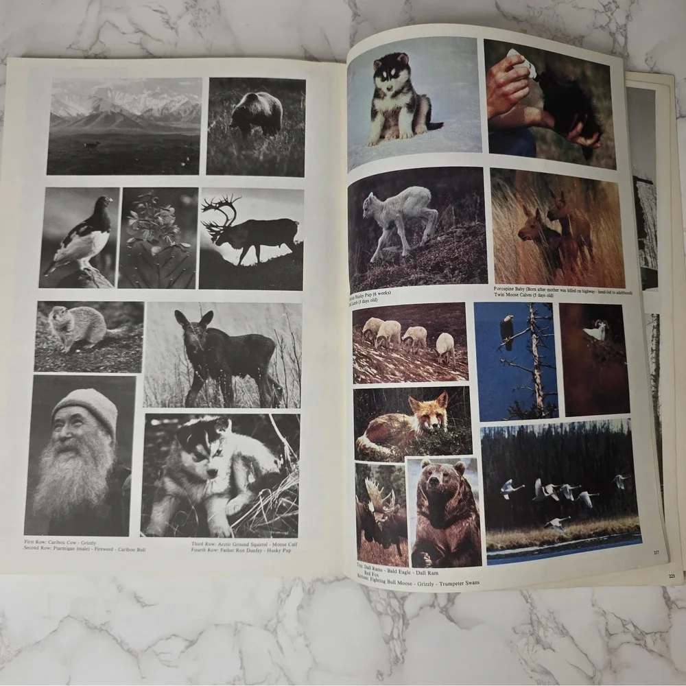 Signed Doug Lindstrands Alaskan Sketchbook 6th Ed 1983 Wildlife Art Photo Guide